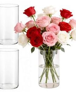 3er Set Glasvase Zylinder 15cm Hoch - Glaszylinder für Kerzen, Blumen & Deko mit Boden