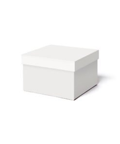 Ilo - Aufbewahrungsbox mit Deckel 25x25x16cm - Büro- und Hausaufbewahrung für Kleidung, Bettwäsche und Bücher - Soft Tou