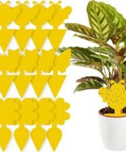 12 x Gelbsticker Trauermücken, Fliegenfalle, Gelbtafeln für Zimmerpflanzen - Effektive Schädlingsbekämpfung - Ca 20 x 20