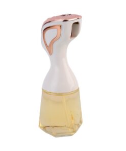 Oleosprühflasche Öl Sprühdosen Glas Haushalt Olivenöl für Airfryer und Salatbacken(Gold)