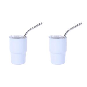 Stanley Cup Doppelwandige Tumbler für Junggesellenabschied, Fasching und Brautparty Dekoration - 2 stück | Doppelwandig