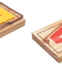 PROTECT HOME Classic Rattenfalle, Holzschlagfalle zur giftfreien Rattenbekämpfung, ideal für Hausnutzer, 1 Stück-Packung