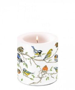 Ambiente Kerze Vogel Treff - Neutral Duft Pillar Candle, perfekt für Relaxation, 8 cm Höhe, 7,5 cm Durchmesser, 35 Stund