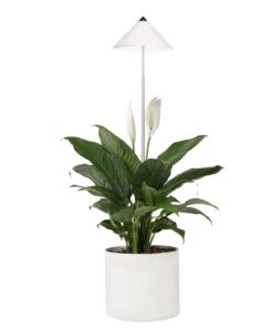 Parus by Venso SUNLiTE 7W LED Vollspektrum Pflanzenlampe, Weiß für Indoor Plants, mit ausziehbarem Teleskopstab, perfekt