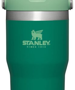 STANLEY IceFlow™ Trinkglas 590 ml: Doppelwandiges Vakuumisolierung, Auslaufsicherer Flip-Strohhalm, Edelstahlthermos für