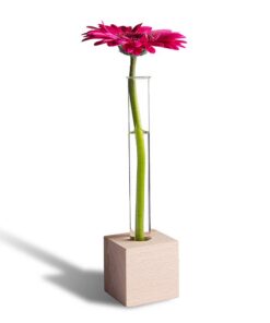 Tuuters Moderne Tischdeko Vase aus Holz – Hochwertiges Reagenzglas (Buche 1-Loch) Tuuters Tischdeko Vase aus Holz – in