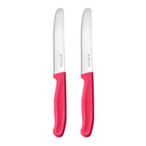 Targzier Frühstücksmesser Wellenschliff, Scharf, 2 Stück Messerset, Rostfreier Stahl Jausenmesser, Kunststoffgriff Pink