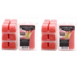 CANDLE-LITE 2er Duftwachs Set für Duftlampe | Sweat Pear Lily | Fruchtiges Duftwachs | 6 Duftwachswürfel | Wax Melts