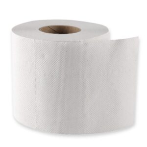 Franz HygoClean Toilettenpapier, Kleinrolle, weich, Recyclingpapier, Familien, für den Badeweiher, 64 Rollen, 250 Blatt