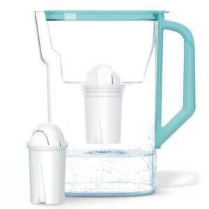 Wessper Wasserfilterkanne AQUACLASSIC Minze - Kalk- und Chlor-reduzierend | Kompatibel mit Brita Classic für Kühlschrank