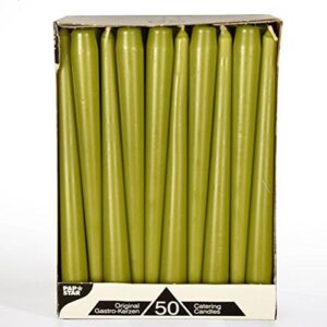 PAPSTAR 50 Spitzkerzen olivgrün Ø 2,2 cm 25 cm Trendiger Dekorationseinzug