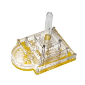 Ameisennest Für Haustierameisen Sulties Ameisensammelbox | Ameisen-acrylnest Vaguelly Für Ameisenhabitate | Ameisenfütt