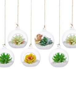 Hängende Glaskugel Vase für Sukkulenten Terrarium (10cm 6Stk Klar) Home Party Hochzeit DIY