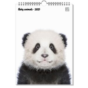 **ArtboxONE Kalender 2026 Baby Animals Wandkalender für Zuhause** | **ArtboxONE A4 2026 Tiere Wandkalender zur Wohnungs