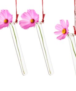Tuuters 25x Reagenzglashälters für Blumen - praktisch für Labore und Gewerbeabteilungen mit modernem Design | Tuuters 2