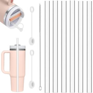 Stanley Cup 40/30oz/20oz 6 Stück 31cm Wiederverwertbare Strohhalme Set Klare Strohhalme Reinigungsbürste Strohkappen