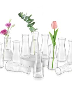 Glasseam Kleine Glasvasen 12 Stück Modern Minimalistisch für Hochzeit Party