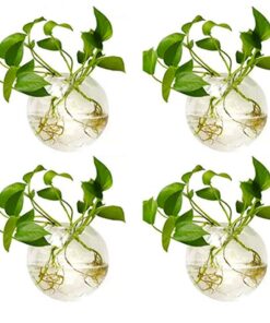 NUPTIO Glas Wandvase 4er-Set: Pflanzen Hängetöpfe für Wohnzimmer Wand-Deko