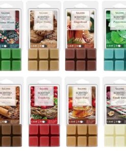 SALKING Winter Duftwachs Wax Melts für Kerzen Wärmer - 8 Weihnachtsdüfte Geschenk Set