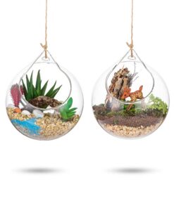 Hängende Glaskugel Vase 2 Pcs 4 Inches Große Öffnung Sukkulenten Terrarium Air Plants Hanging