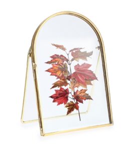 SUMTree Goldener Glas-Bilderrahmen für Familienbaum-Anfänger, Zuhause und Büro, Dekoration, klare Optik und dauerhaftes-