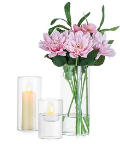 Glasseam Glasvase Zylinder 3er Set - Moderne Blumenvase Glas für Wohnzimmer Tischdeko & Kerzenhalter Windlicht Tulpen Ro