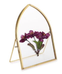 Gold Glas Bilderrahmen für Baby-Kunstfotos und Familienfotos mit Blättrigem Top und U-Bracket (17x12 cm) Glasrahmen SU