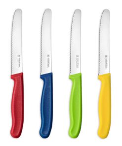 Targzier Scharfe Frühstücksmesser, Mehrfarbig, Rostfreier Stahl, 4 Stück Messerset | Targzier Wellenschliff Tafelmesser
