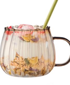 Stilvoller Pumpkin Glass Juice Cup für Kaffee, Tee und Milch, Transparente 400ml Tasse mit Griff, Glas-Wasser-Tasse