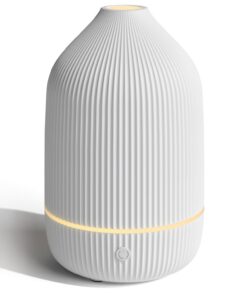 SALUBRITO Ultraschall Aromatherapie Diffuser für Frauen im Büro und zu Hause, 100ml Weiß, Geschenkidee