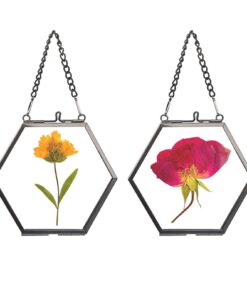 SUMTree Schwarz 2PCS Hängende Glassignaturrahmen 4,7cm Geometrisch Ornament PflanzeProbe Clip