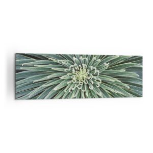 Panorama Bilder auf Leinwand 160x50cm Agave Grün Pflanze Schlafzimmer Wanddeko XXL Dekoration Wohnzimmer