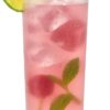 Silverkitchen - 40 Stück Longdrinkgläser Plastik 300ml, Hartplastik Becher, Trinkbecher Made in Germany