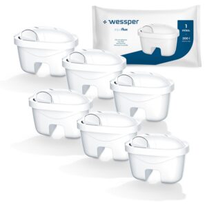 Wessper Aquaflux Wasserfilter Kartuschen 6 Stücke | Reineres Wasser durch Aktivkohle und Lonenaustauscherharz | Ideal fü