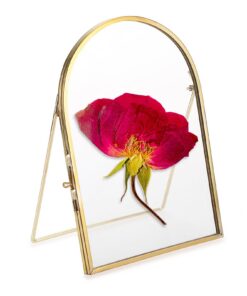 SUMTree Glas Bilderrahmen für Gepresste Blumen Metall Golden Tischrahmen Weichnachten Hochzeit Geometrische Ornament Woh