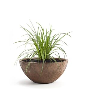 Pflanzwerk® Frostbeständige Pflanzkübel Ø 55cm Premiumqualität Lotus-Effekt