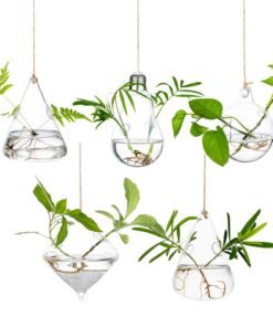 Glasseam Glas Hängende Pflanzgefäße 5 Teile Set mit Seil 2 Löcher Indoor Outdoor Terrarium Kerzenhalter
