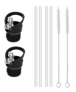 LightBeacon Ersatzdeckel Trinkflasche 2er Set, Standard-Mund Straw Lid mit 4 Ersatzhalmen & 2 Pinseln für Standard-Mund
