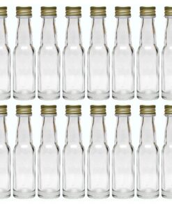 hocz 100 Mini Glasflaschen 40 ml Gold Langhals mit Schraubverschluss - Leere Fläschchen zum Abfüllen Likör Schnaps Essig