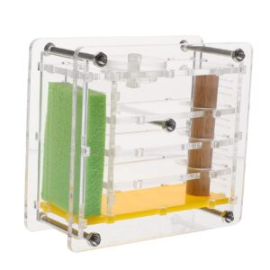 Toyvian Futterbox Für Ameisen Kinder Spielzeuge Beobachten Ameisenhalter