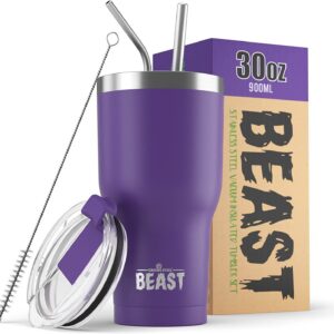 Thermobecher Dunkellila 900 ml To Go I Doppelwandig I 2 Strohhalme I Reinigungsbürste I Perfekt für Kaffee und Eiskaffee