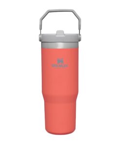 Stanley Flip Straw Tumbler 1,0L - Thermosflasche Hält 12+ Stunden Kalt - Spülmaschinenfest - Sportflasche - Wasserflasch
