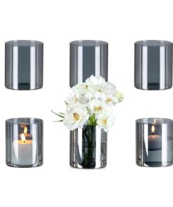 Glasseam Graue Glas Zylinder Vase 6 Stück Modern Set für Tischdeko Blumen Tulpen Rosen