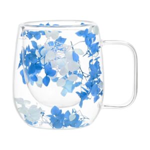 Vriusi Double Wall Glass Mugs für Juice, Beverages und Wasser mit Elegantem Design