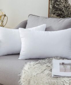 MIULEE Waschbare Sofa-Kissen 30x50 cm, Polster Innenkissen Dekokissen, Polyester Füllkissen Zierkissen 2er Set