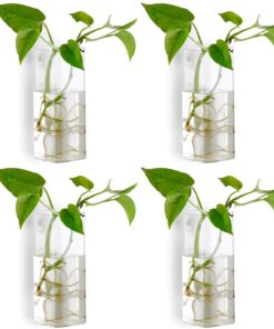 NUPTIO Wandvase für Pflanzen Wohnzimmer Küche - Glas Hängetöpfe 4er-Set