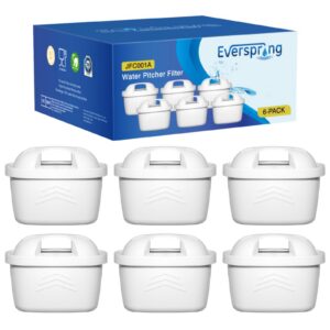 EVERSPRING Wasserfilter Kompatibel mit Brita Maxtra+,));// Maxtra Plus,Mavea,Anna Duomax, 6 Stück - Bis zu 99,99% Schad