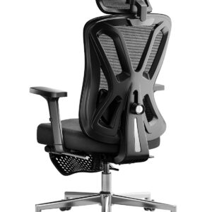 Hbada P5 Ergonomischer Bürostuhl, atmet aktiv, für Schreibtisch, schwarz
