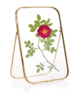 SUMTree goldfarbener Glas-Bilderrahmen für Desktop, gepresster Blumenrahmen, 12,7 x 17,9 cm