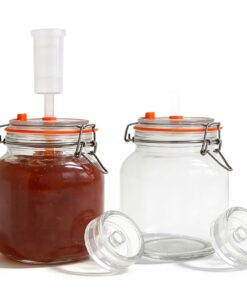 Fermentierglas 2L - Kimchi und Sauerkraut für Fermentierfreunde - Luftschleuse und Silikondeckelobaoender - Ideal fuer H